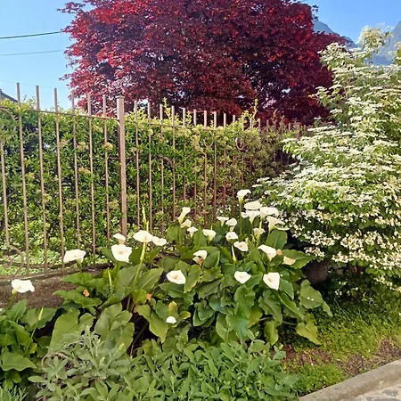 Perla House 公寓 *